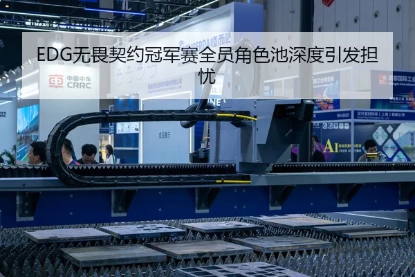 EDG无畏契约冠军赛全员角色池深度引发担忧