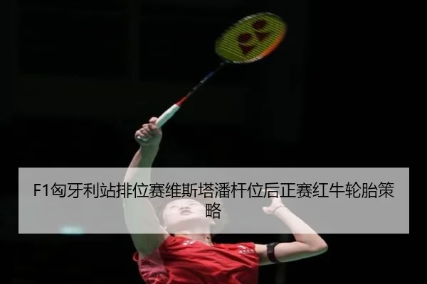 xiong-ya-li-zhan-pai-wei-sai-wei-si-ta-pan-gan-wei-hou-zheng-sai-hong-niu-lun-tai-ce-lve-3-593.jpg